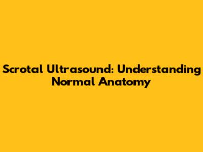 Scrotal Ultrasound: Understanding Normal Anatomy